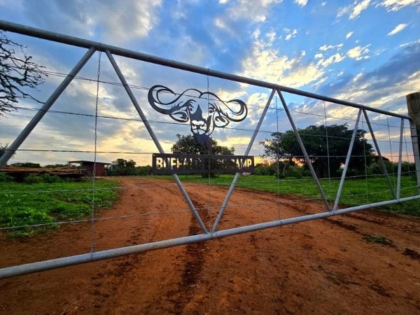 About Buffalo Bush Camp