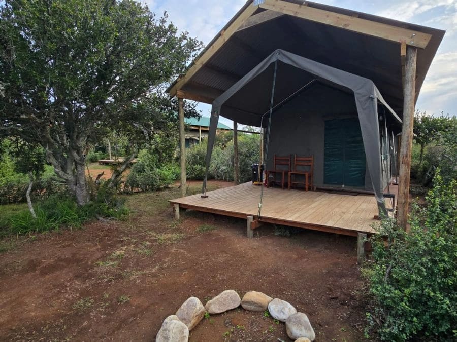 Glamping Tents Gallery 2